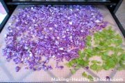 Vegetables in Dehydrator