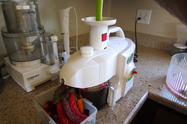 Green Power Juicer