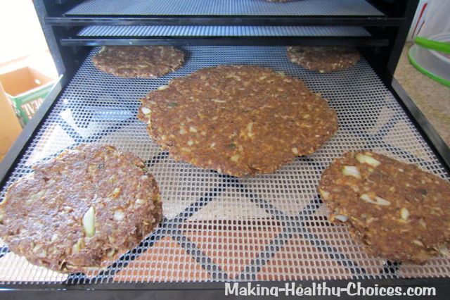 Onion Burgers