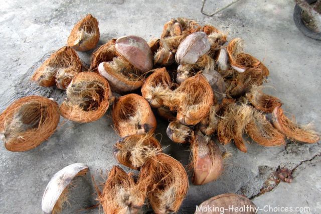 Coconut Husks