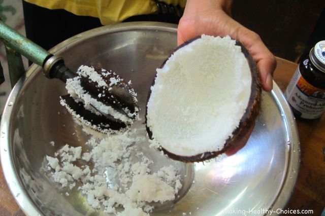 Coconut Meat Shredding Tool
