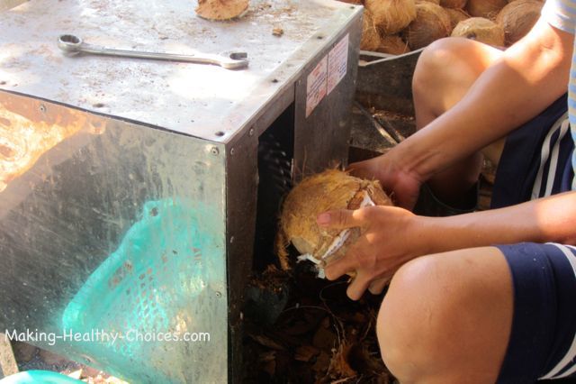 Coconut Removing Hard Shell