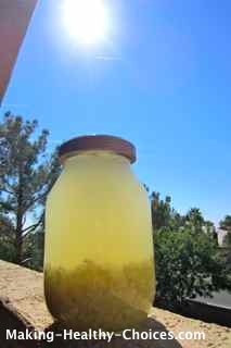 Ginger Juice in the Sun