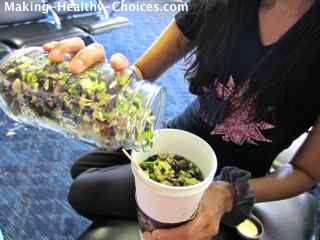 Healthy Travel Food