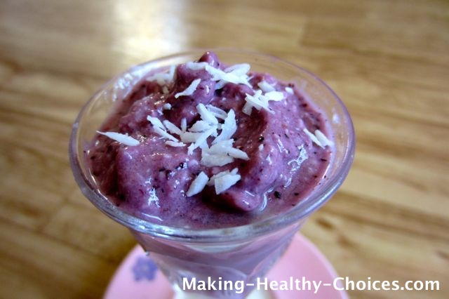 Coconut Blueberry Ice Cream