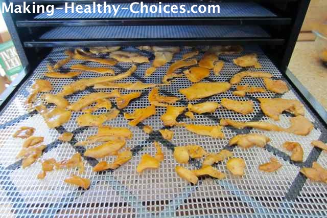 Coconut Jerky in Dehydrator