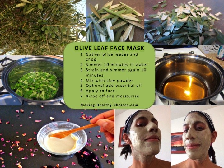 Olive Leaf Face Mask