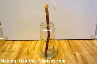 Natural Toothbrush Storage