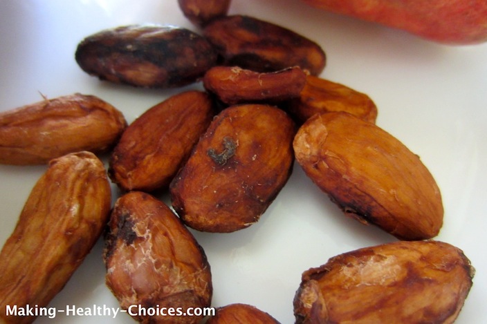 Sun Dried Cacao Beans