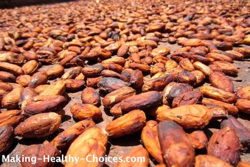 Cacao Beans drying in the Sun