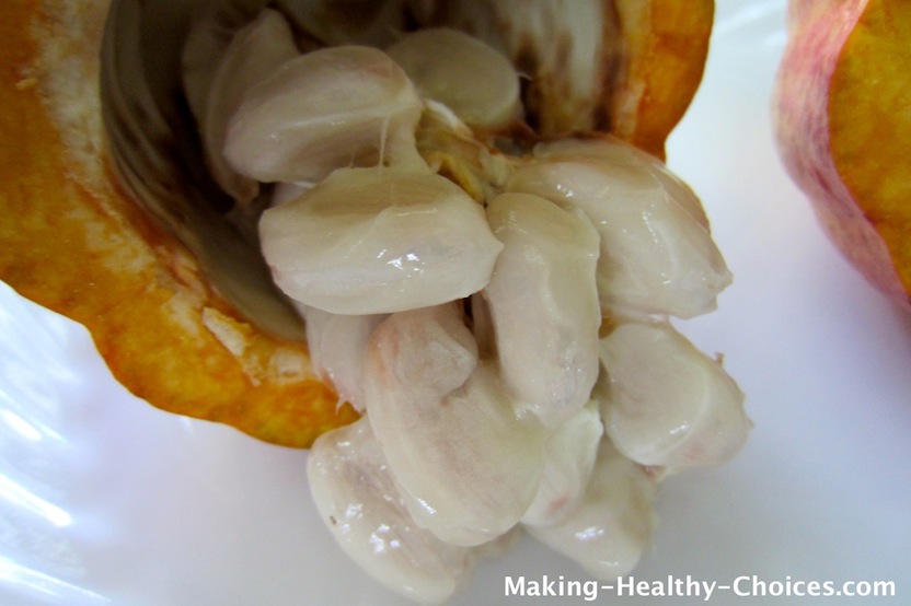 Cacao Pod with Pulp