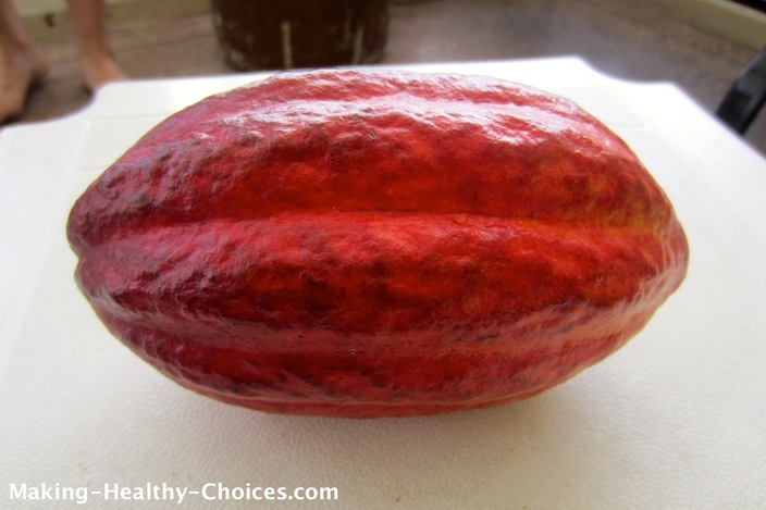 Cacao Pod