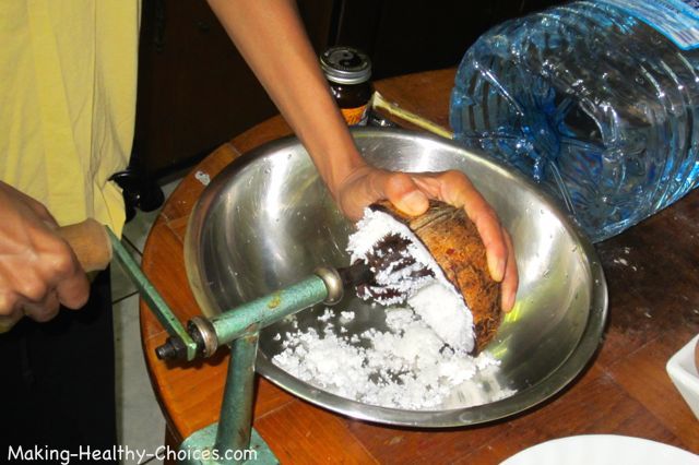 Coconut Meat Shredding Tool