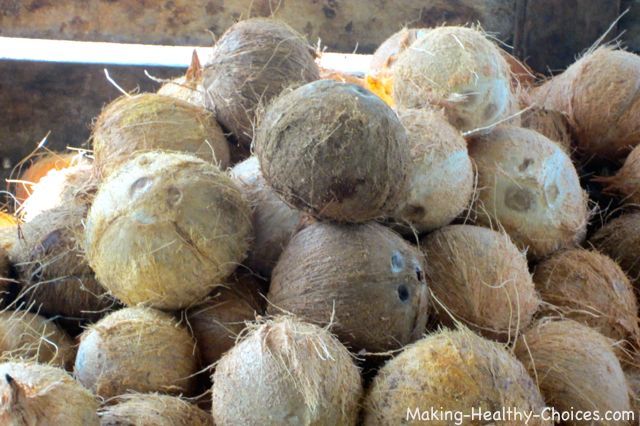 Coconuts with Outer Husk Removed